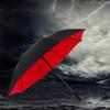 Tri-polar TP7001 Automatic Business Umbrella