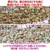 Okinawa Ishigaki Island Star Sand Pack 100g