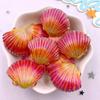 8pcs AB Resin Colorful Flower Shell Figurines Flat Back Cabochon Stone Scrapbook Home Crafts DIY Jewelry Making Accessories