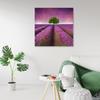 Canvas Print Lavender Field with Tree