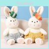 Adorable Warm Sun Fruit Rabbit Plush Toy Soft Stuffed Doll For Kids Bedtime Gift
