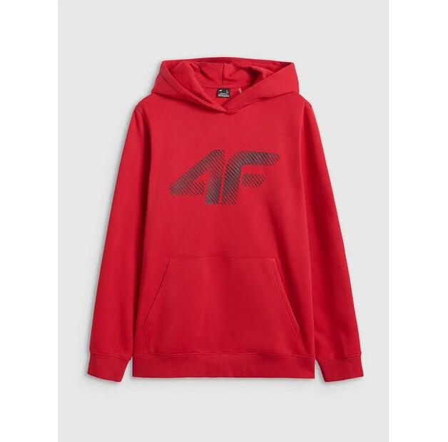 Толстовка 4F 4FWMM00TSWSM1766-062S