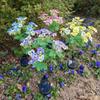 Year of the Horse LED Solar Butterfly Garden Stakes - Waterproof Outdoor Lights