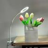 Adjustable Levels LED Magnifying Glass Lamp 5X Magnification Clip On Desk Lamp  Tattoo Art