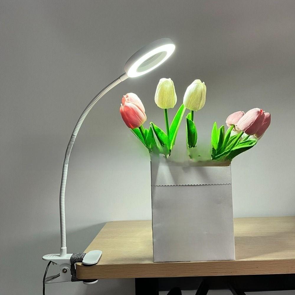 Adjustable Levels LED Magnifying Glass Lamp 5X Magnification Clip On Desk Lamp  Tattoo Art