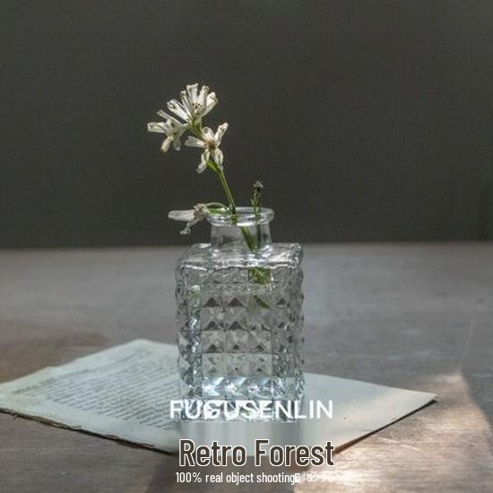 Small French Retro Glass Vase for Flowers and Hydroponics