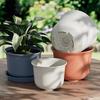 Dewodo Flower Pot Tray with Water Catcher Base