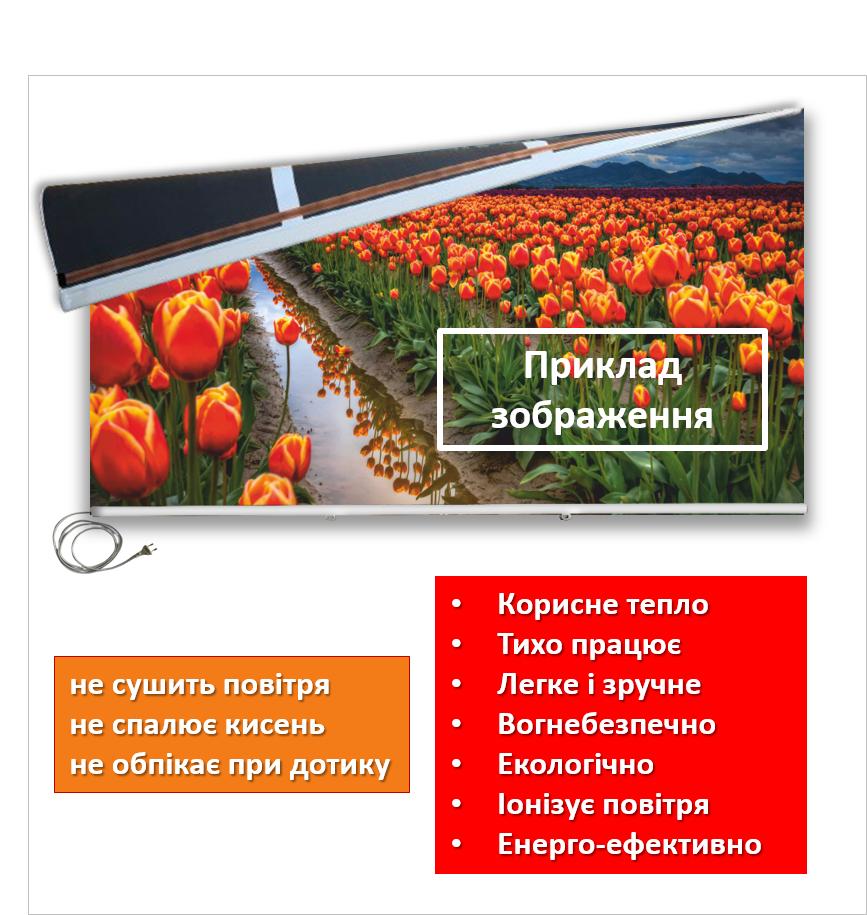 Картина-обогреватель "Замок в горах" на пленке Monocrystal 105x60 см 300 Вт
