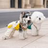 Hunde-Overalls Lässige Haustierkleidung Kleine Mittlere Große Hunde Weiche Acryl-Arbeitskleidungs-Stil-Hosen Ganzjahres