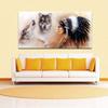 Stunning Wallpaper Murals Indian Girl Wolf Design For Home Interiors