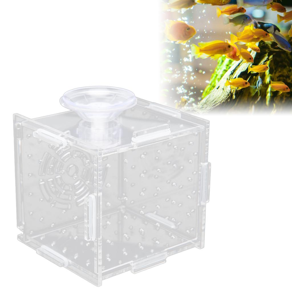 Fish Isolation Box Acrylic Fish Breeding Box Aquarium Hatchery for Baby Fishes Shrimp