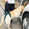 Verstellbares Hundeliegegeschirr Haustier-Stützschlinge Hunde-Hilfswerkzeug für alte Hunde für Hinterbeine Hilfe Schwache Beine Aufstehen