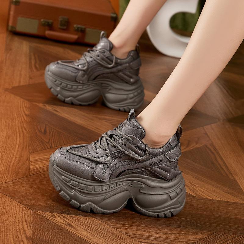 Daddy shoes women's trendy cool 2025 autumn and winter new thick-soled versatile small inner height-increasing women's shoes sports and leisure shoes