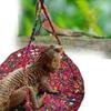 Reptile Hammock Hand Woven Strong Load-bearing Gecko Lizard Swing Toy Round Bearded Dragon Swing Hanging Bed