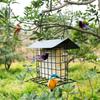 Rural Iron Bird Feeder Station Wildbird Shelter Place With Easy Refill Feature Ideal For Wild Bird Enthusiasts