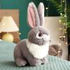 Bebek ve Peluş Oyuncaklar – Doldurulmuş ve Peluş oyuncak hayvanlar