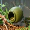 Wall Mounted Reptile Hideouts Suction Cup Climbing Habitat Terrarium Decoration  Vivarium Décor