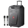 Malata M+9047 12-inch Portable Outdoor Karaoke Speaker (CN Version)