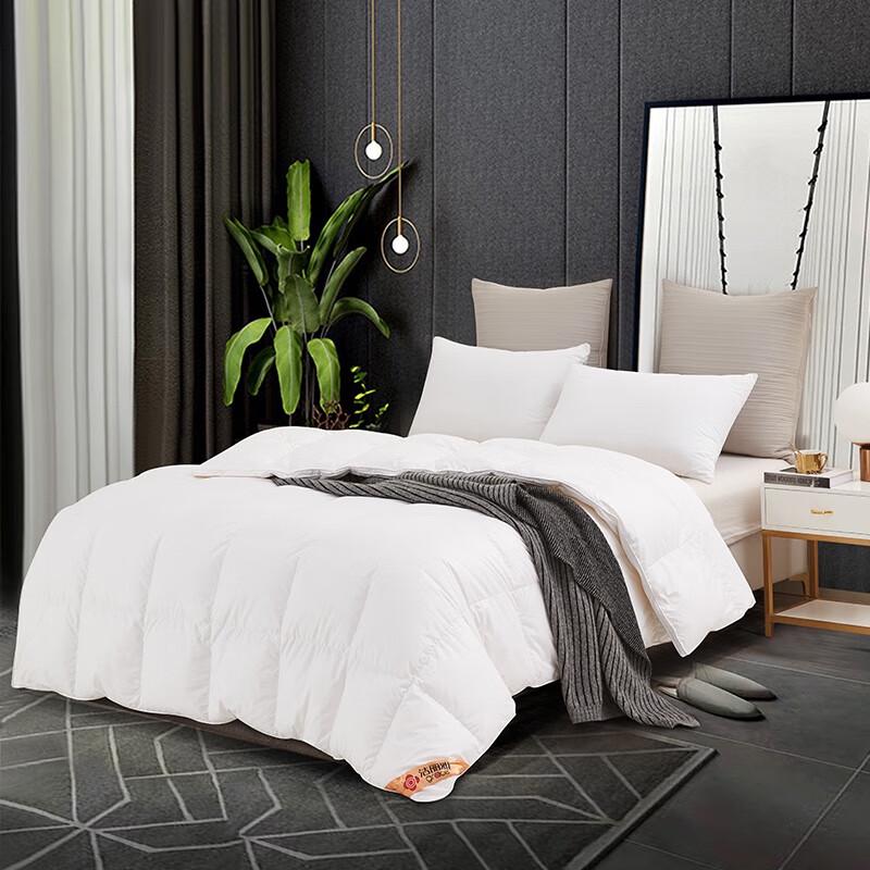 Jieliya White Goose Down Comforter