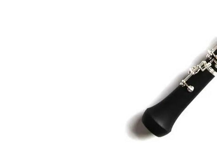 Oboe Schutzhülle: Kollisionsschutz & Rutschfeste Hülle für Musikinstrumente