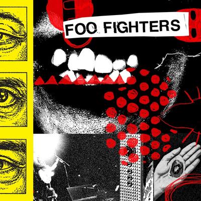 Foo Fighters - Your Favorite Toy (LP)