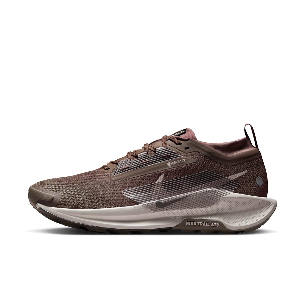 Nike Pegasus Men's Outdoor Running Shoes Spring - NIKE PEGASUS TRAIL 5 GORE-TEX FQ0908