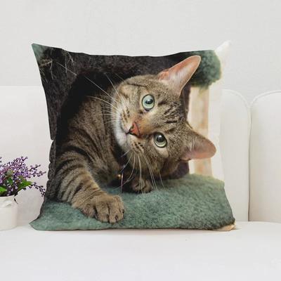 Cushion Cover Cushions Covers Cute Cat Decorative Pillow Cover for Living Room Cushions Bed Pillowcases Pillowcase _(6)