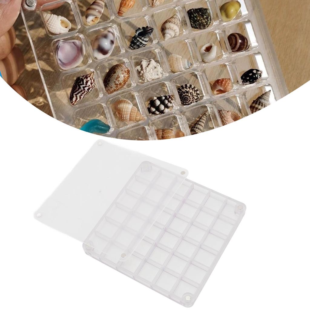 Acrylic Magnetic Seashell Display Box Clear 36 Grids Decorative Storage Case Organizer Container