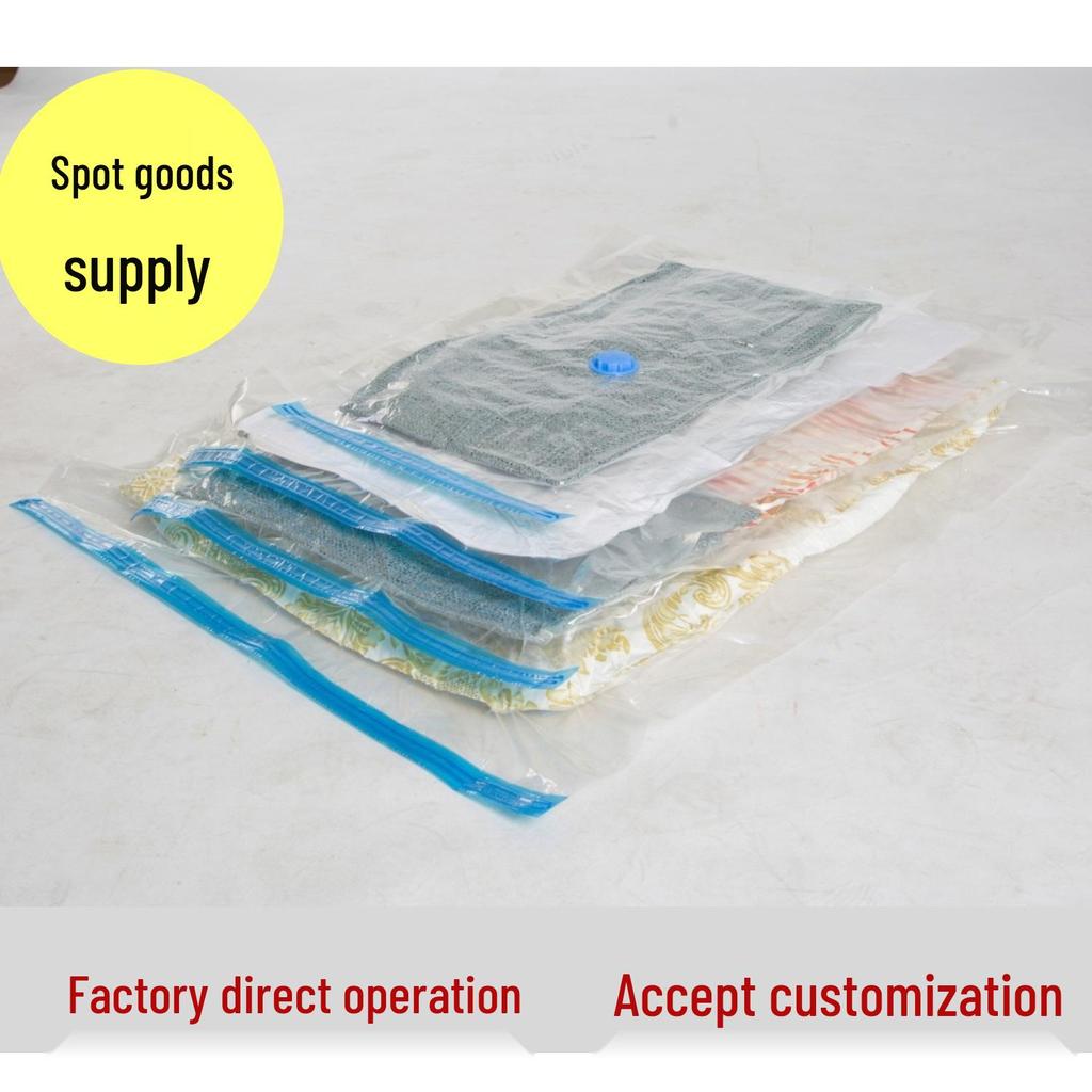 Hand-Pumped Vacuum Compression Quilt Storage Bag with Manual and Electric Pump