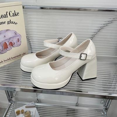 Retro Fashion Niche Mary Jane Shoes 2025 New Spice Girl Patent Leather Thick Heel Single Shoes Small Leather Shoes High Heels Women