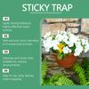 8 Pcs Sticky Trap For Gnat Yellow Stick Traps For Plants, Fungus Gnat Traps Double Side With Shovel, Indoor Safe For Gnat, Fruit Fly