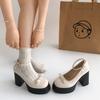 White French Retro Thick Heel High Heels Women's 2025 New Summer with Skirt Bow Mary Jane Single Shoes