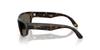 Ray-Ban HAVANA BROWN 55mm Sunglasses 0RJ9189S