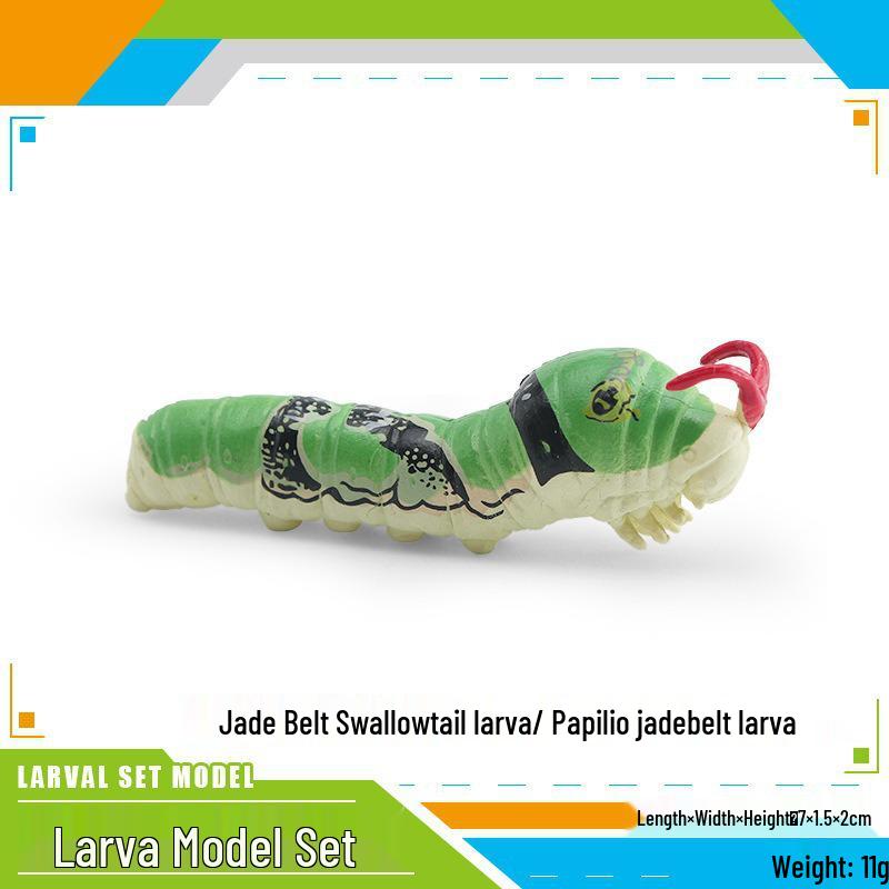 Gold Swallowtail, Geometer Moth, and Beetle Larva Toys - Cross-Border Science & Education Models for Children