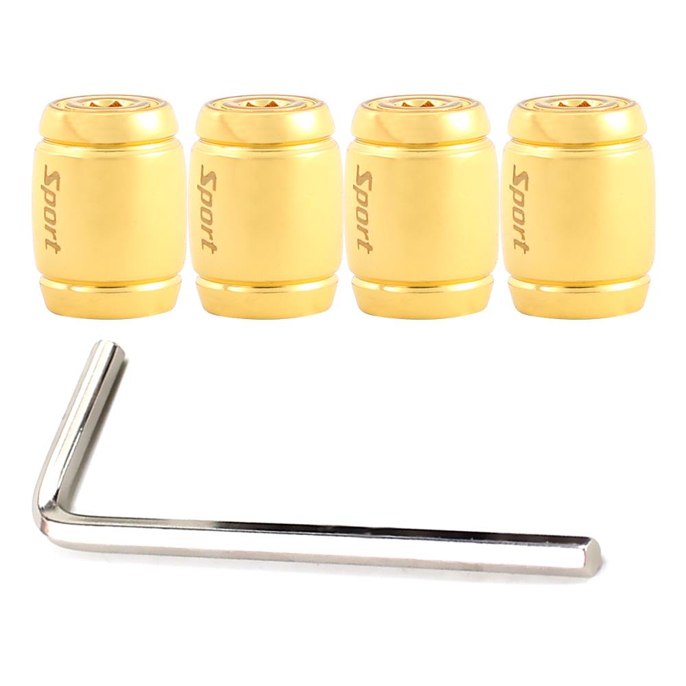DSYCAR 1Set Anti-theft Sport Tire Valve Dust Caps Dustproof Tire Cap Valve Stem Caps for Cars Bike Moto New Stem Caps1