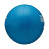 MIKASA Soft 60cm Elementary School Dodgeball, (for Children), 200g, Blue, LD-B