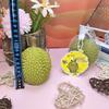 Realistic Jackfruit Stress Relief Toy - Creative Slow Rebound Venting Ball