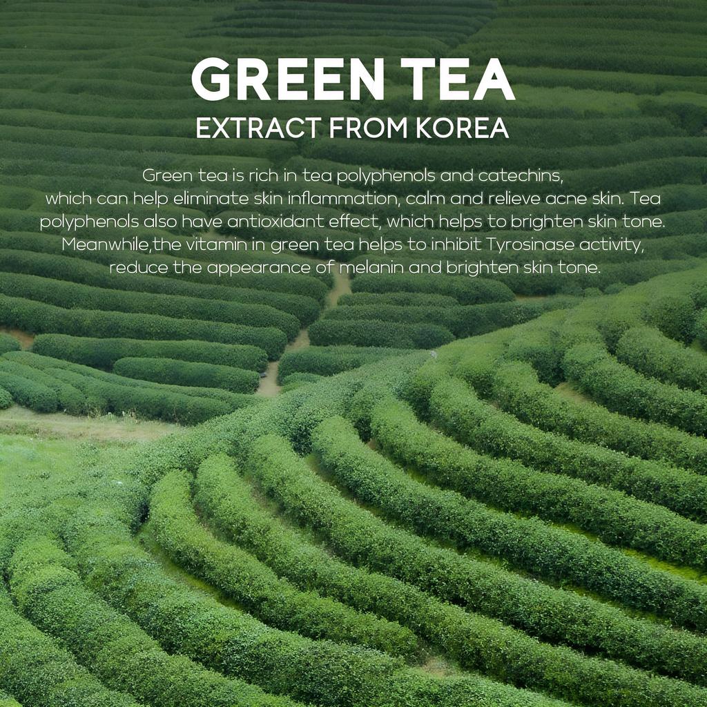 5g Green Tea Facial Mask Mud, Mild and Clean, Oil Control, Moisturizing and Firming Mud Facial Mask