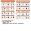 2 Stück Ganzkörper-Sitz-Dehnungs-Poster-Diagramm für Senioren Stuhl-Übungsroutine-Anleitung für Ältere Gelenkschonender Flexibilitäts-Trainingsplan