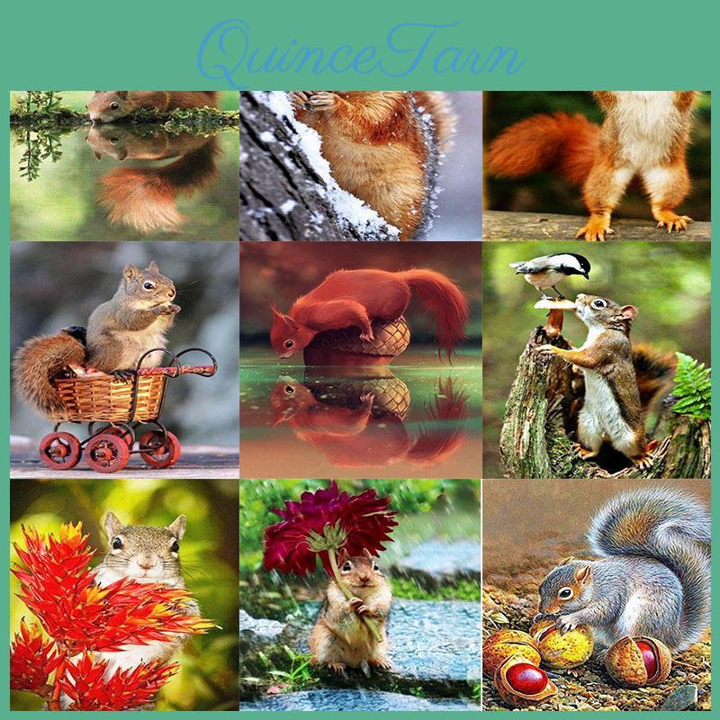 Diamond Diy 5d Painting A Squirrel With A Big Tail Diamond Mosaic Cross Stitch Kits Home Decoration Full Round Diamond Embroidery