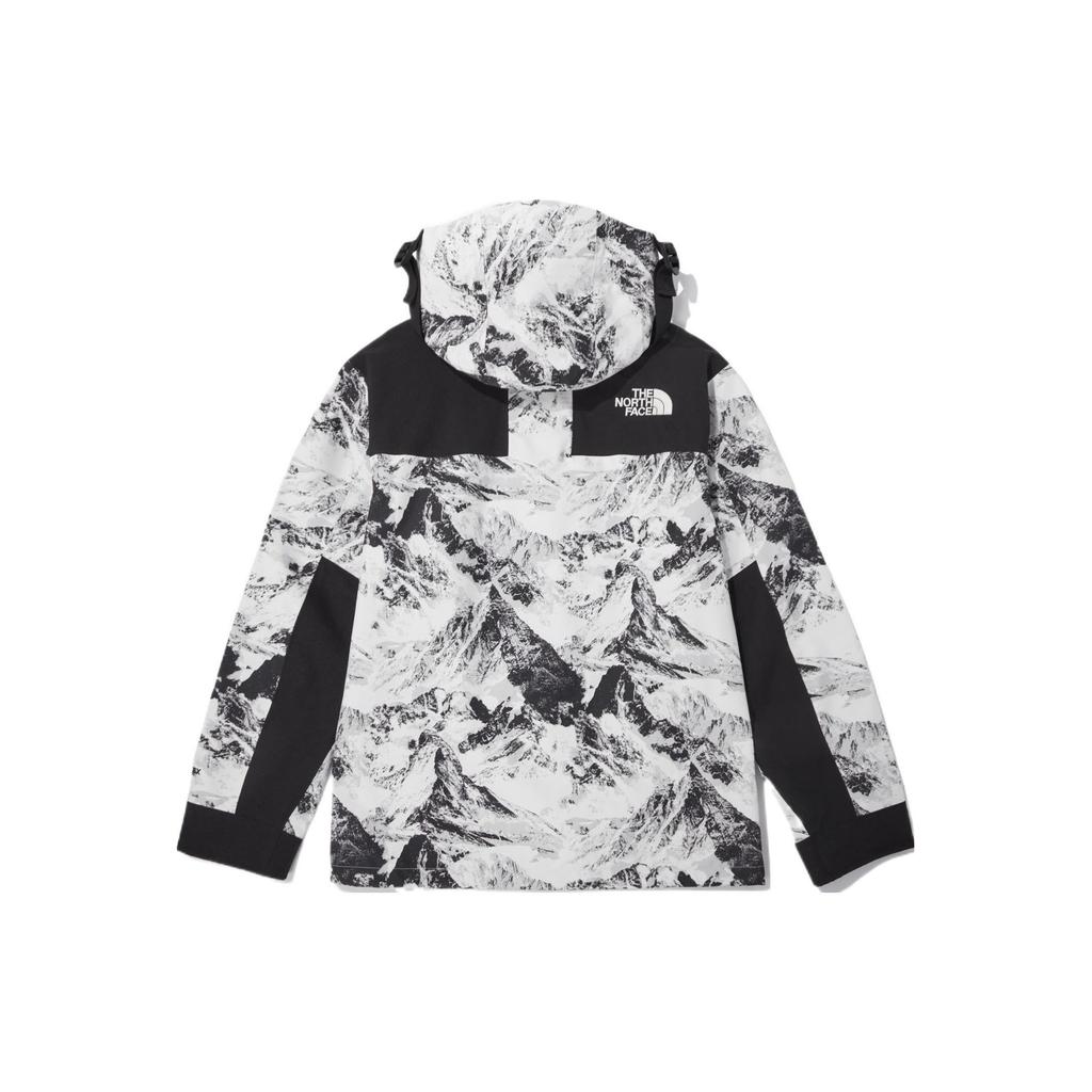 The North Face Neuheit Öko GTX Bergjacke Neutral Grau Unisex Korea Version NJ2GN60B