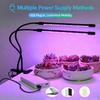 Desk LED Grow Light Plant Lights for Indoor Plants,Full Spectrum With Clip Plant Growing Lamp for Seed Start,Auto On Off Timing