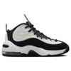 New Nike Air Penny 2 Panda DZ2549-001