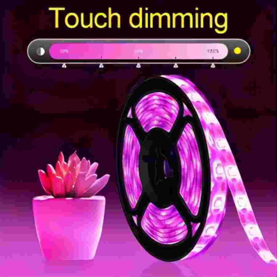 1M/2M/3M/5M/10M LED Fullspektrum LED Plantelys 60 Lampekuler/M Stripe LED Fitolampe Drivhus Plante Frøvekstlys