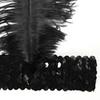 Headband Beautiful Lovely Brilliant Halloween Feather Headwear for Festival