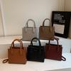 Autumn and Winter New Fashion Style Solid Color Killer Bag Portable Shoulder Oblique Span Women's Bag
