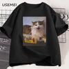 Berretto Arancione Polpo Maglietta in Cotone Stile Giapponese Grafica T-shirt Casual Cotone Manica Corta Girocollo T-shirt Abbigliamento Unisex