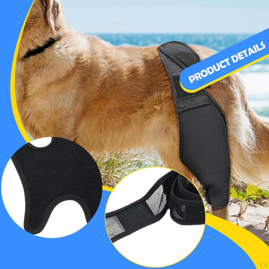 Dog Hip Leg Brace Sleeve Adjustable Quick Installation Soft Anti Slip Strap