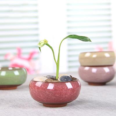 8 Pots à Succulentes en Céramique Craquelée – Mini Jardinières pour Décoration de Maison & Jardin
