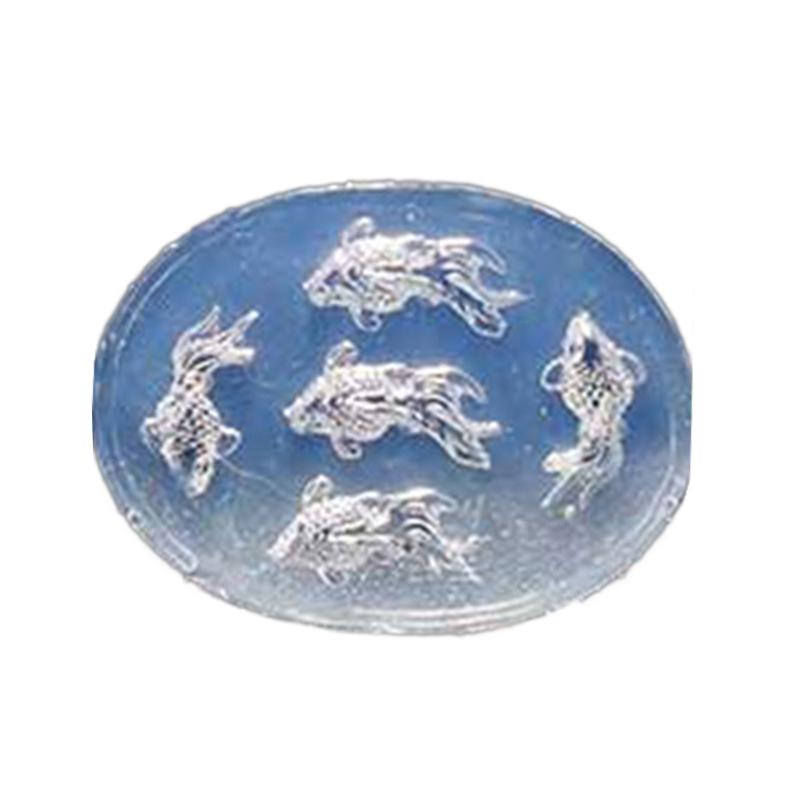 

Ocean Animal Mirror Charm Mold Resin Casting Earrings Necklace Pendant Carp Decoration Mold Jewelry Making Tool